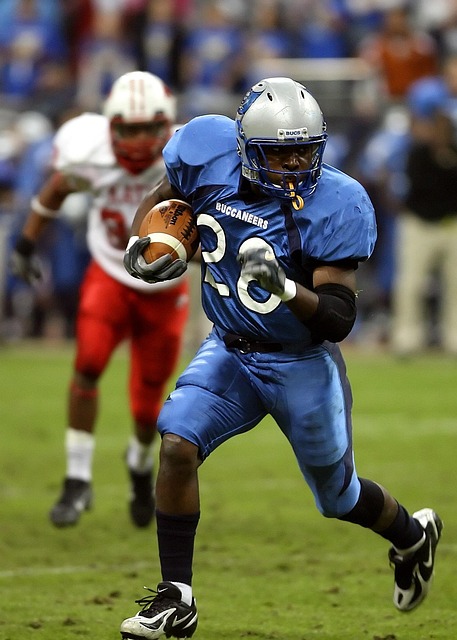 的观点也引 的观点也引